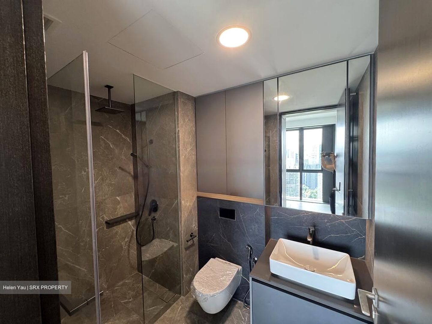 Irwell Hill Residences (D9), Apartment #461456521
